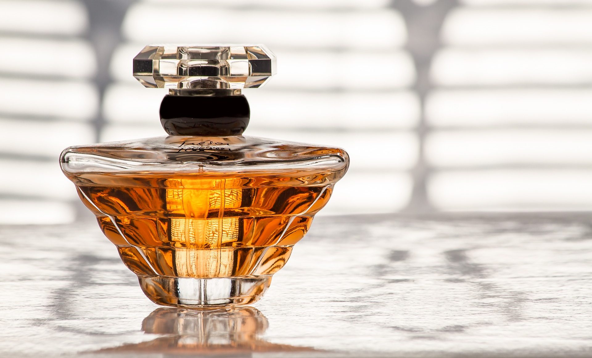 The Art of Fragrance